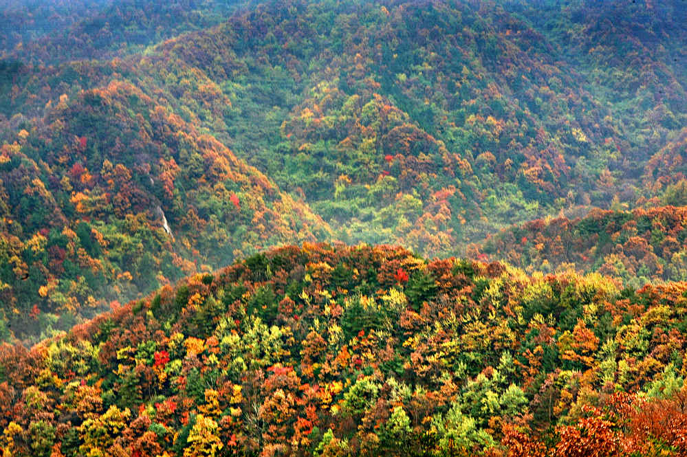 栾川龙峪湾秋色（组）