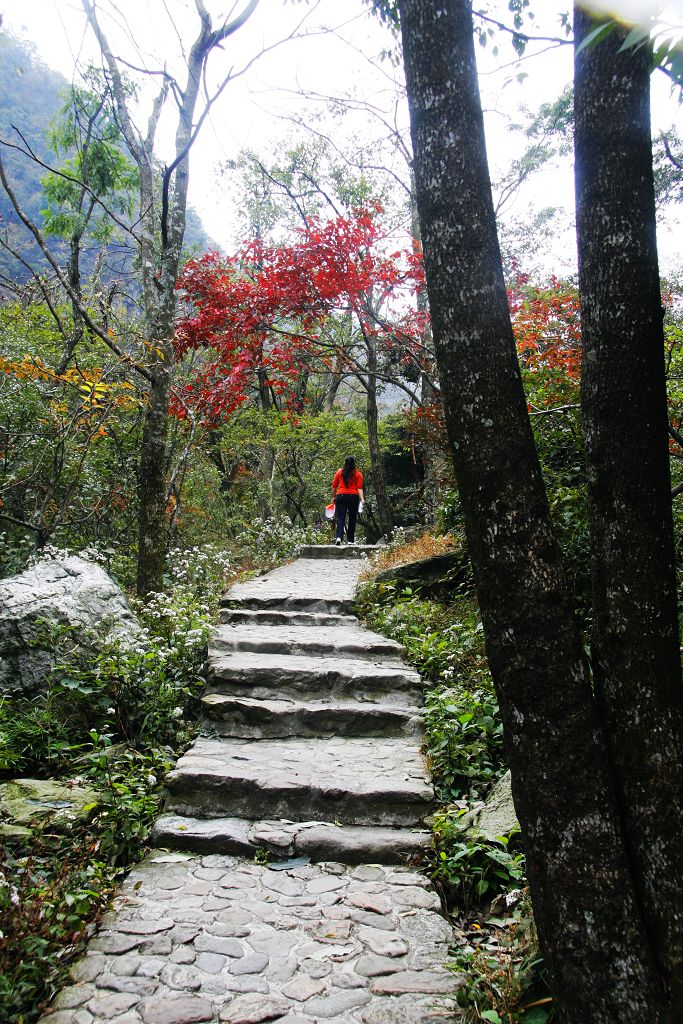 美丽的庐山