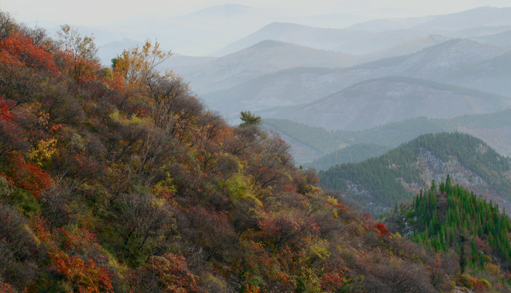 [原创]走进柏尖山