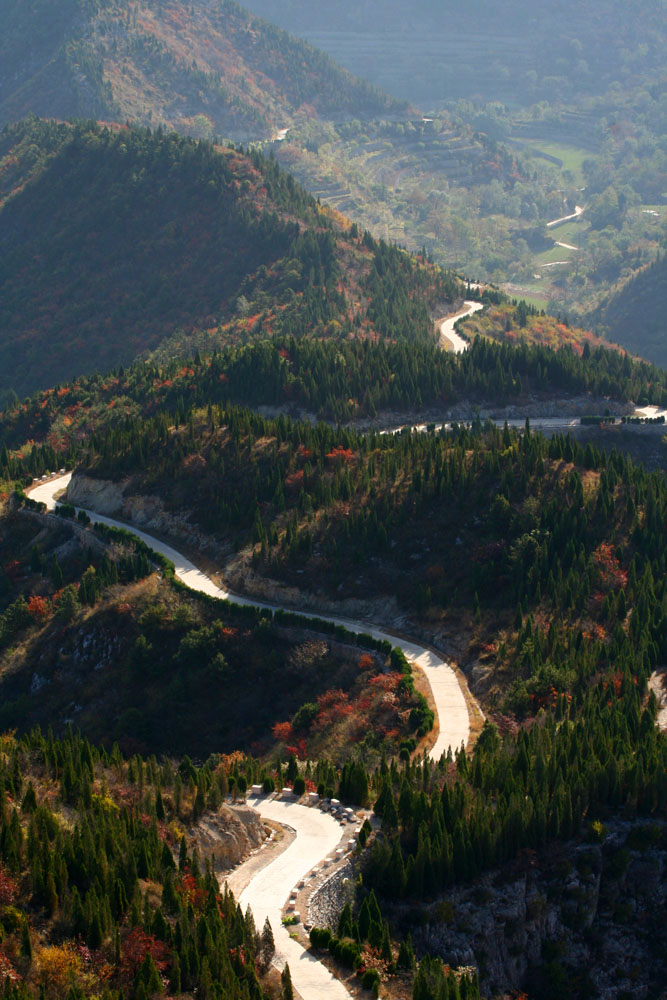 [原创]走进柏尖山