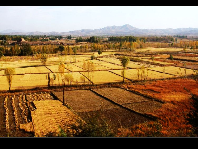 [原创]      阴山之南到金色的鄂尔多斯高原