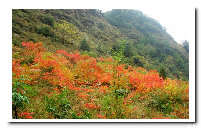 河北-----驼梁风光