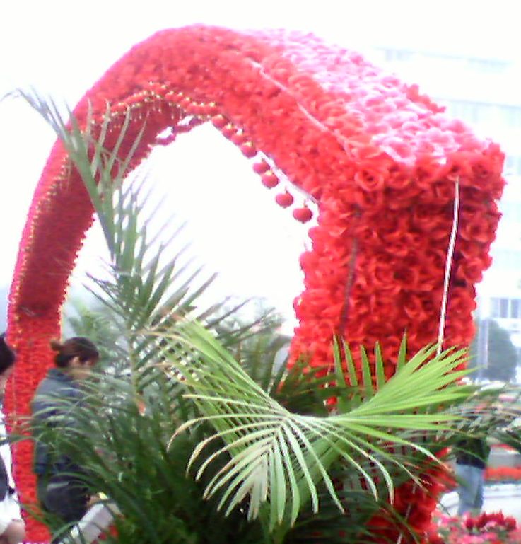 国庆花展一角