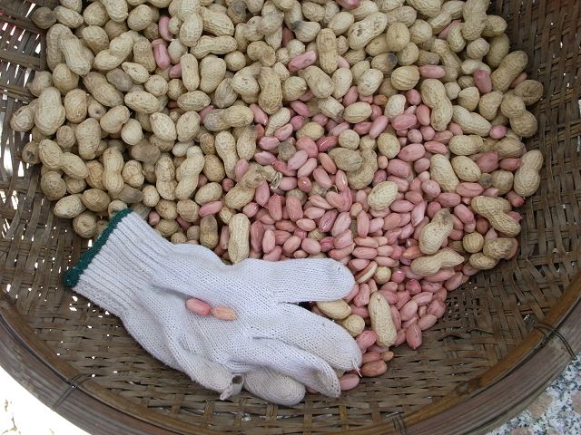 日子