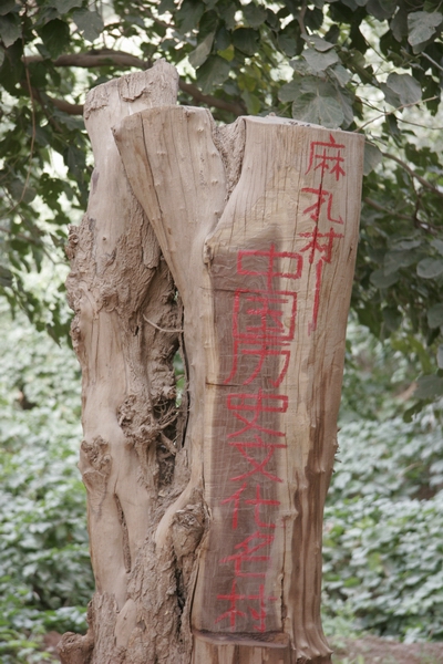 中国历史文化名村——吐域沟麻扎村