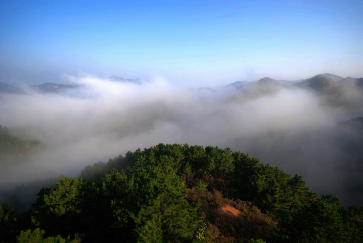 雾锁金山岭