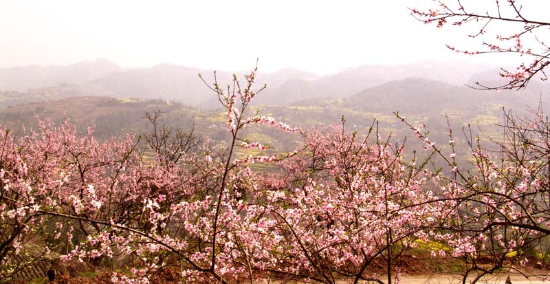 普光风光
