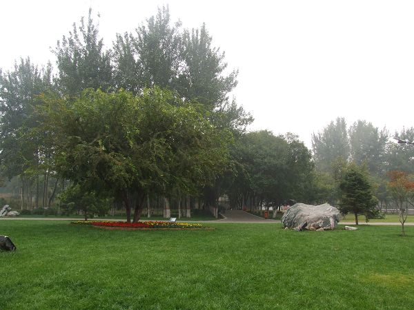 新蕾公园摄影讨论区，有新蕾公园图片的请进