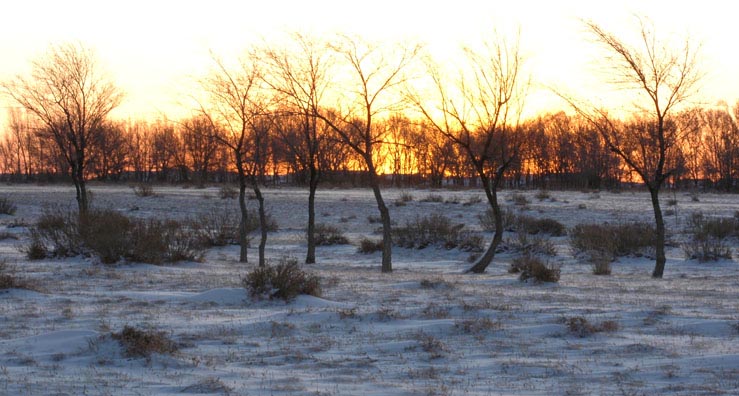 2008年的第一场雪