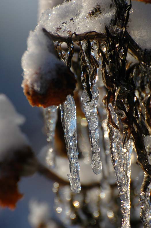 2008年的第一场雪