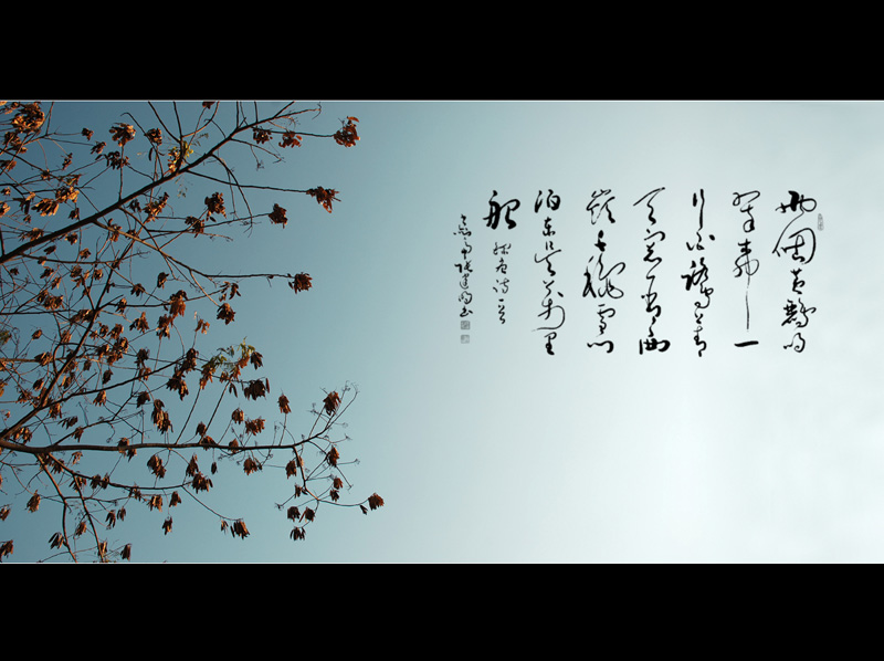 挥公陵.帝舜宫游记