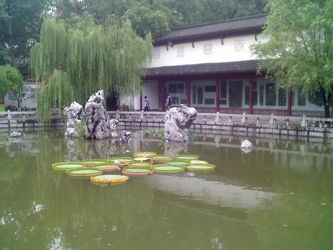 荷
