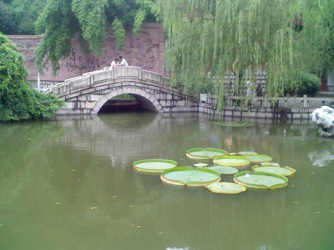 荷