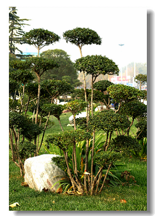 油城街景