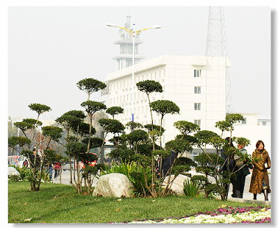 油城街景