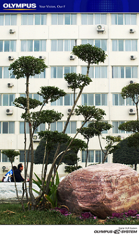 油城街景