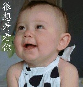 搞笑帖全集