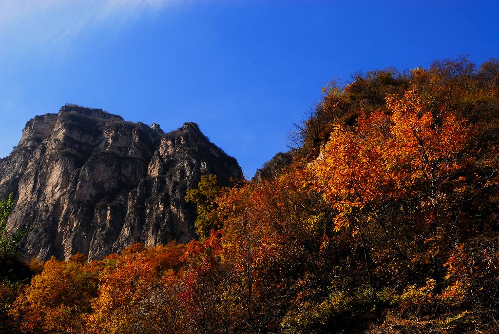 [原创]我爱这里的山