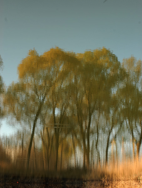 路边小景
