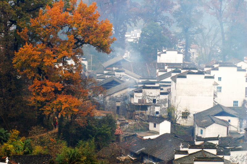 秋到婺源