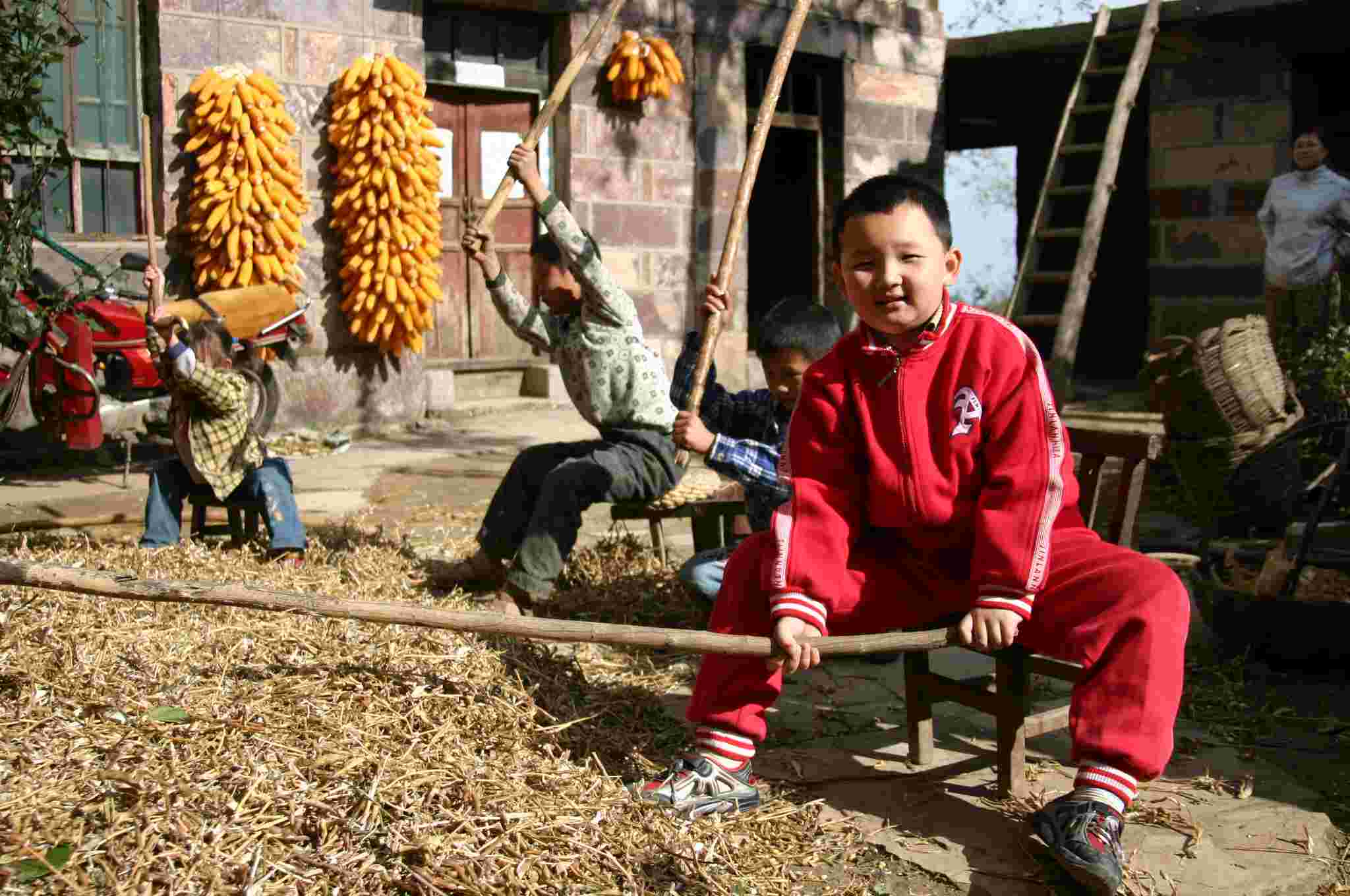 打豆豆
