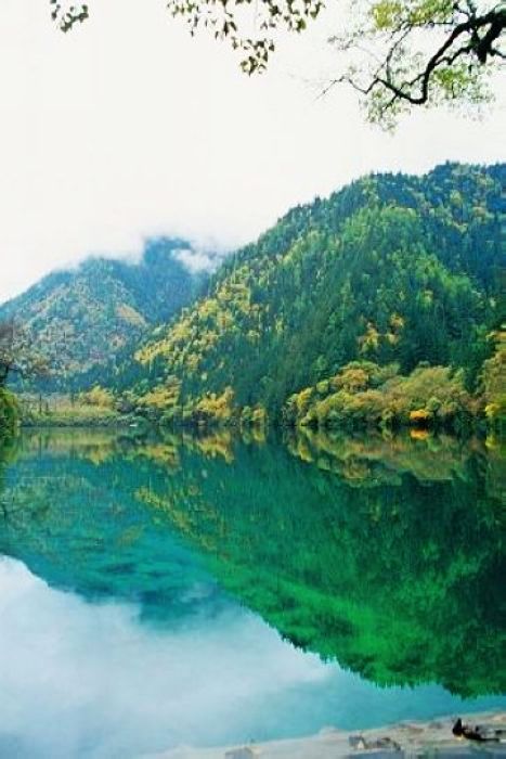 [原创]    九寨沟