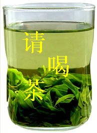 来俺山东拍天鹅