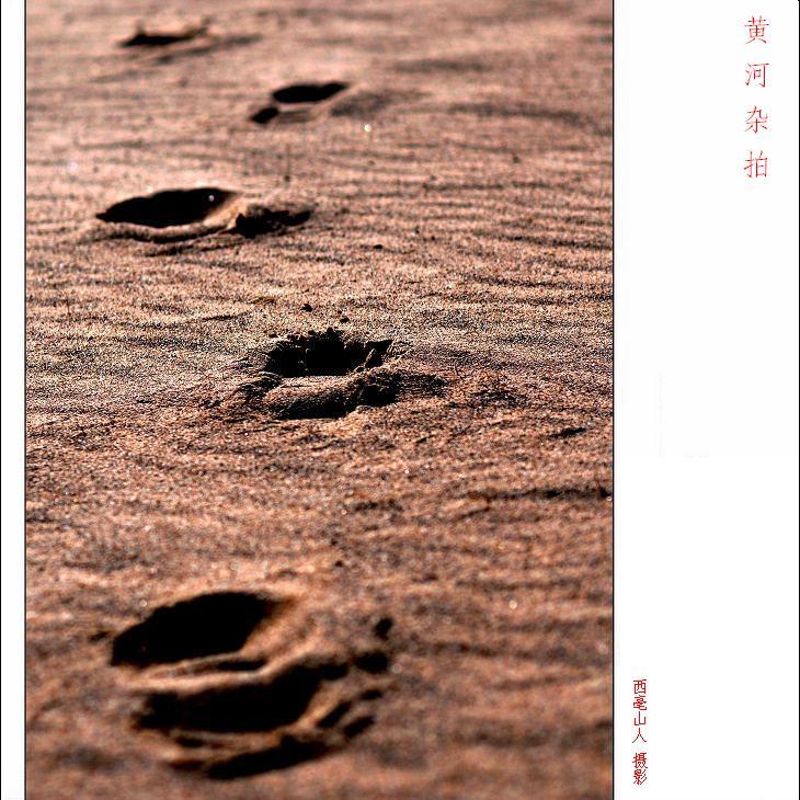 黄河杂拍