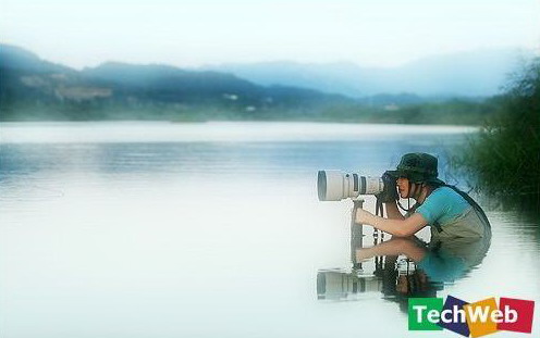 看看什么是专业的