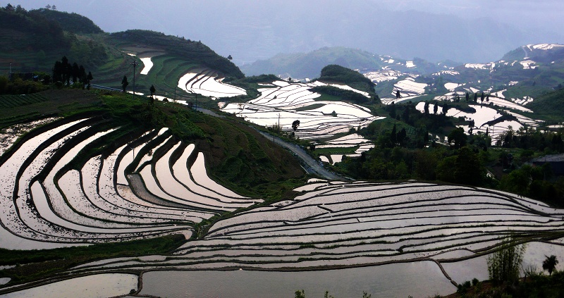 巴蜀梯田
