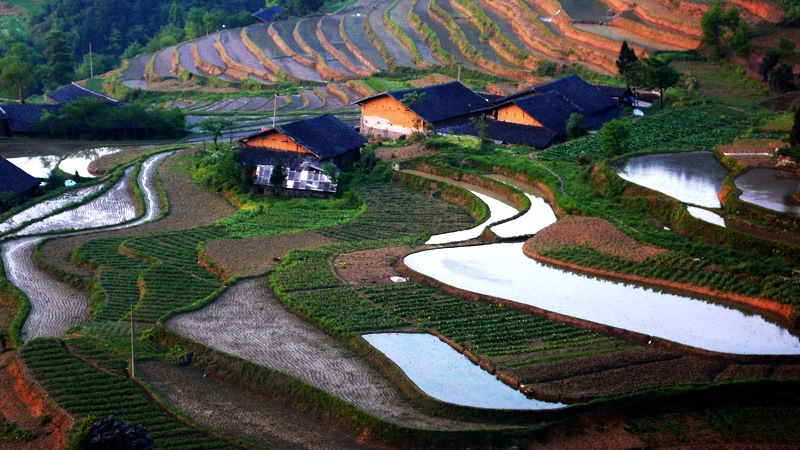 巴蜀梯田