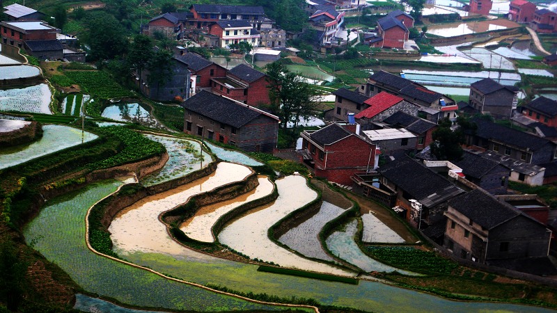 巴蜀梯田