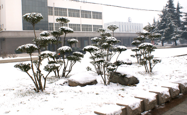 [原创]雪景一组