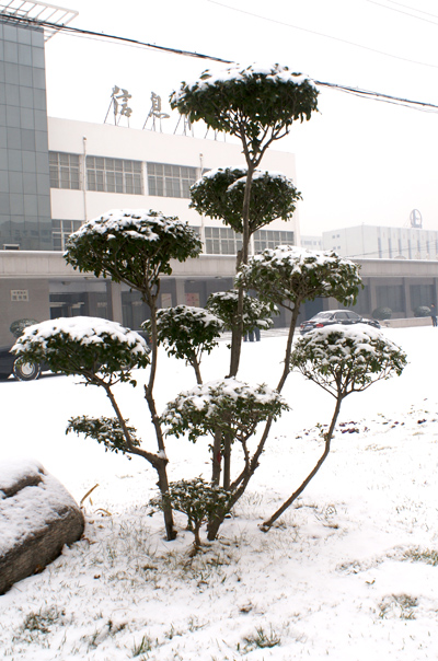[原创]雪景一组