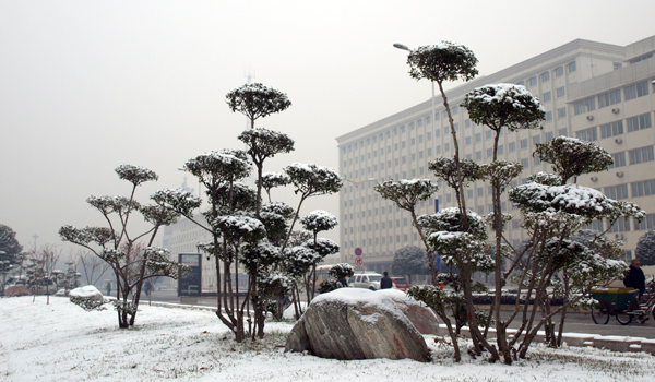 真的下雪了
