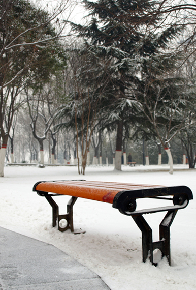 真的下雪了