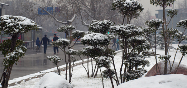 真的下雪了