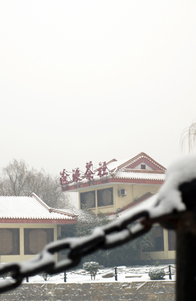 真的下雪了