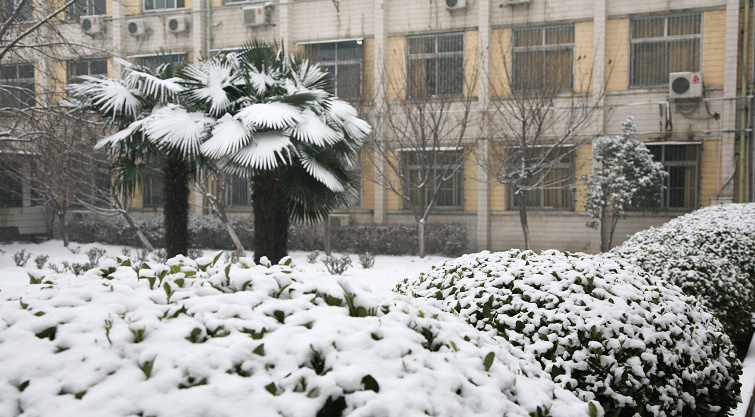 真的下雪了