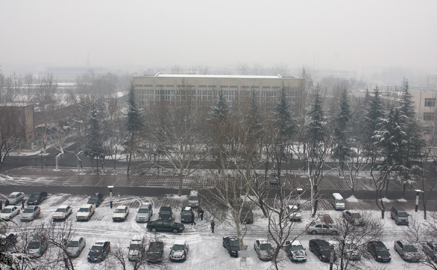 真的下雪了