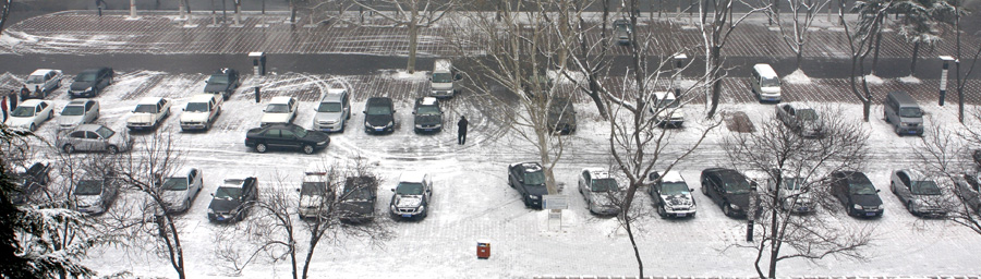 真的下雪了
