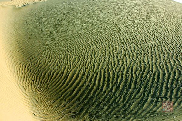 沙漠之行