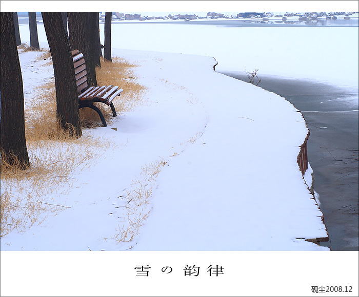 雪韵情殇
