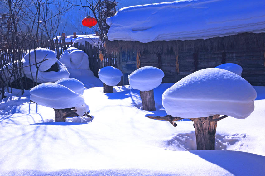 [原创]拜年啦--喜庆雪乡