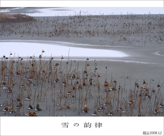 雪韵情殇