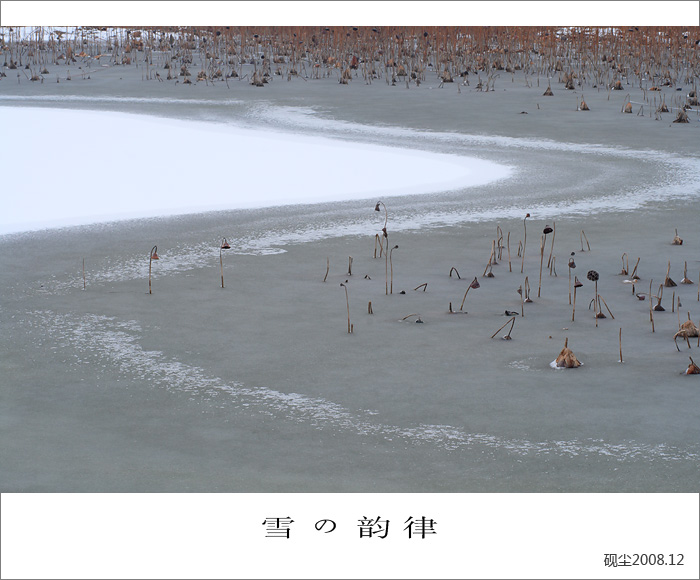 雪韵情殇