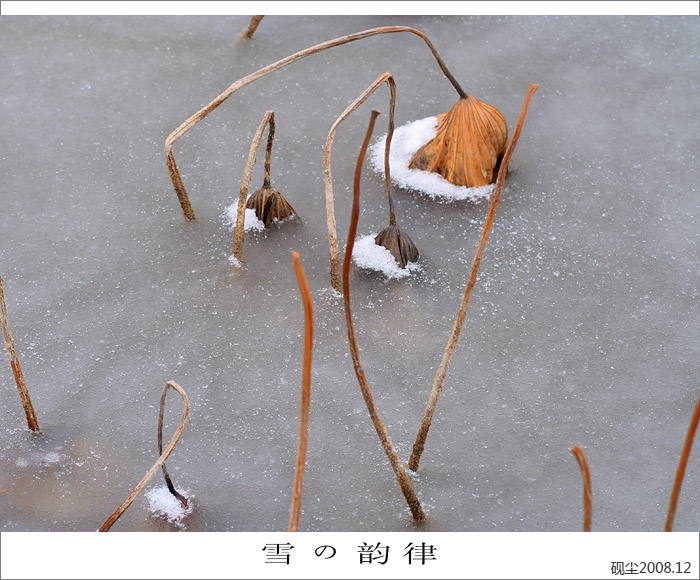 雪韵情殇