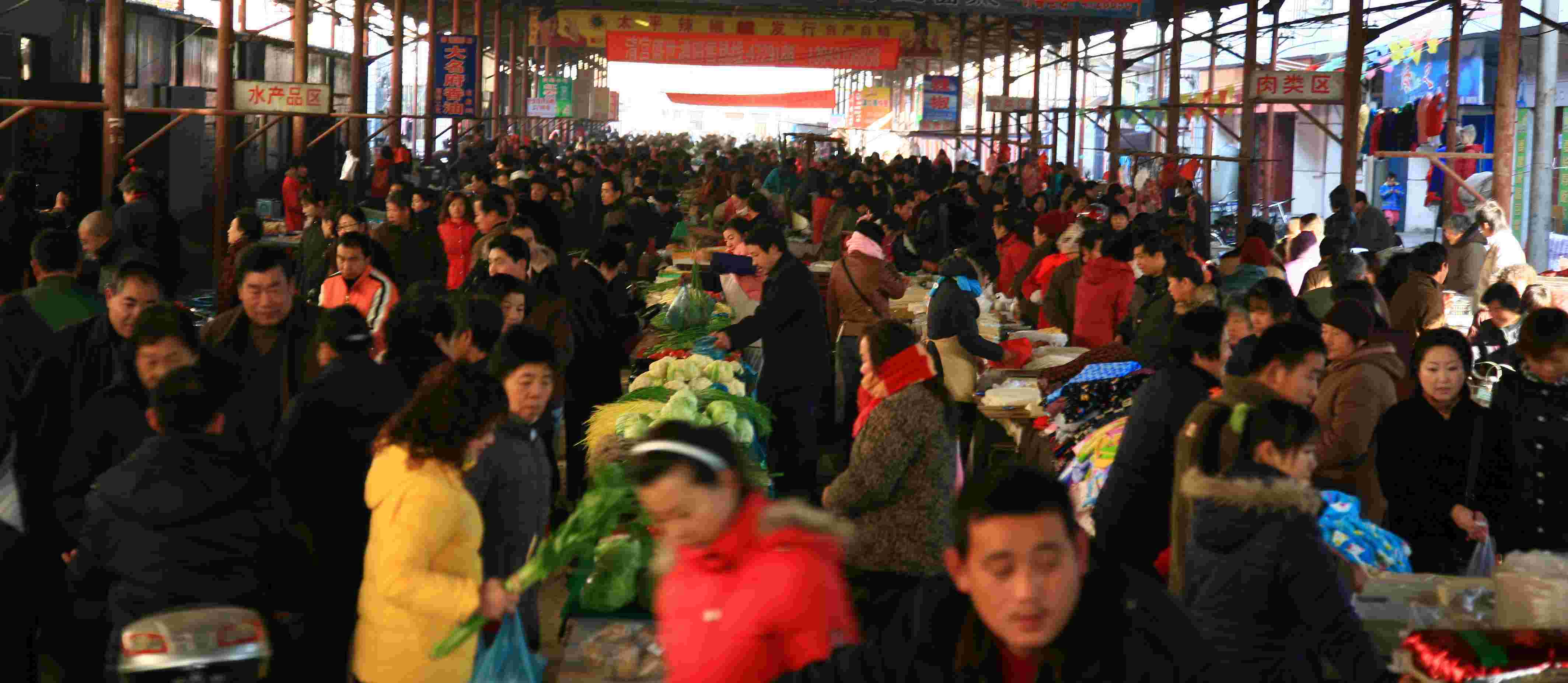 周日的生活