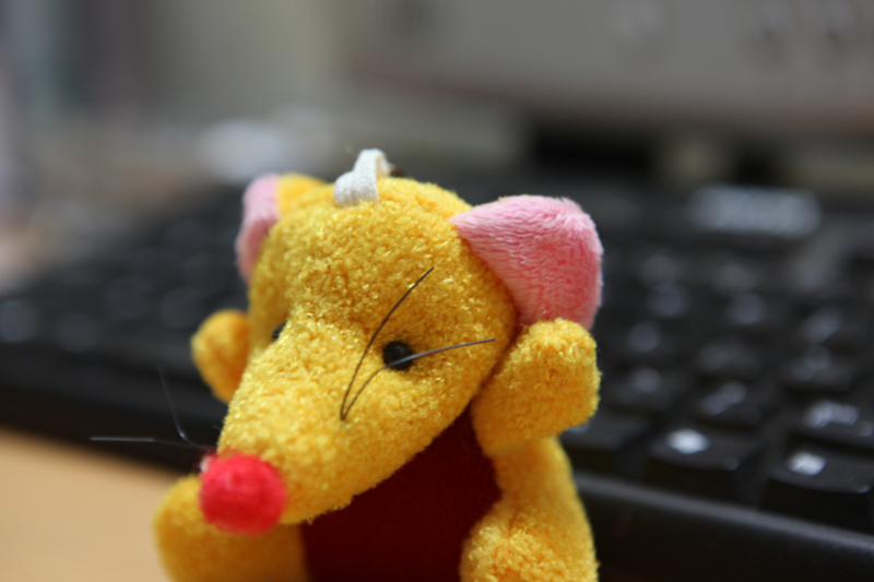 我的EOS5D Mark II
