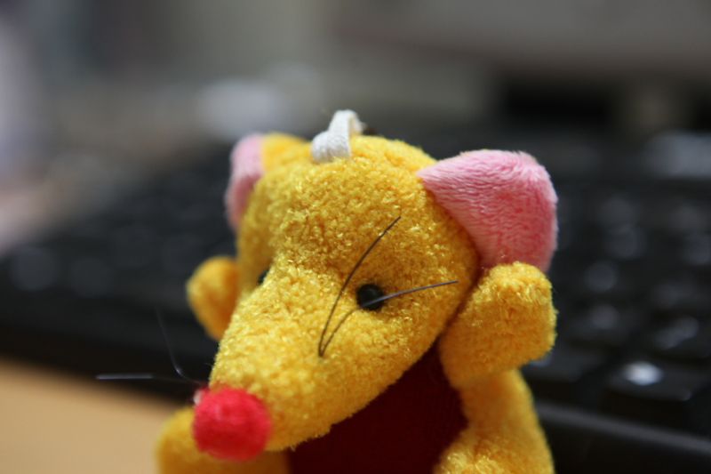 我的EOS5D Mark II